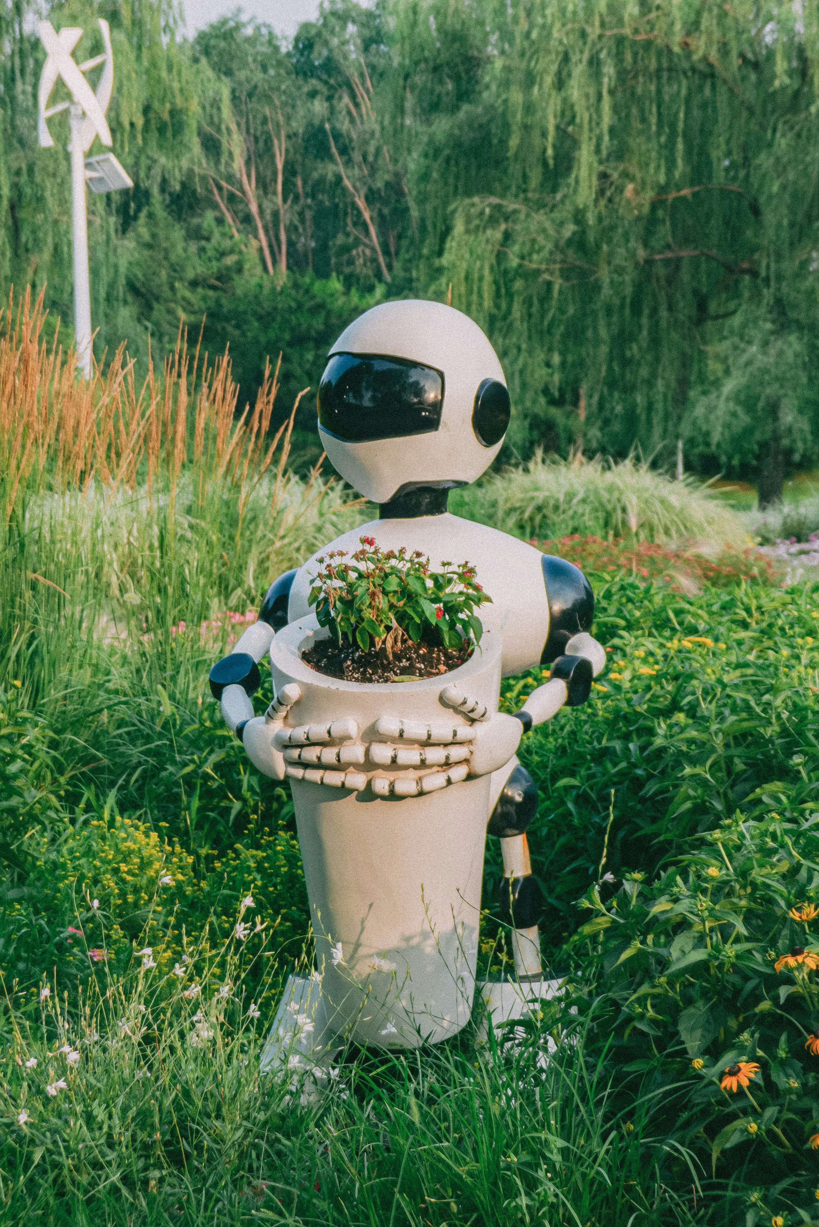 AI Automation Services